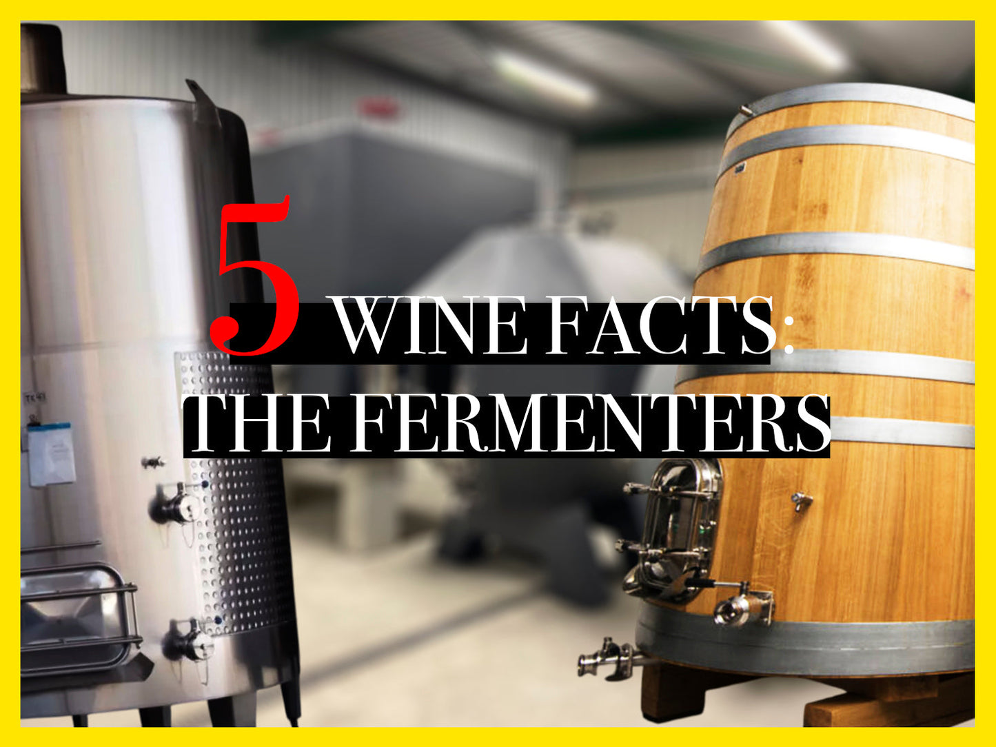 Wine fermenters