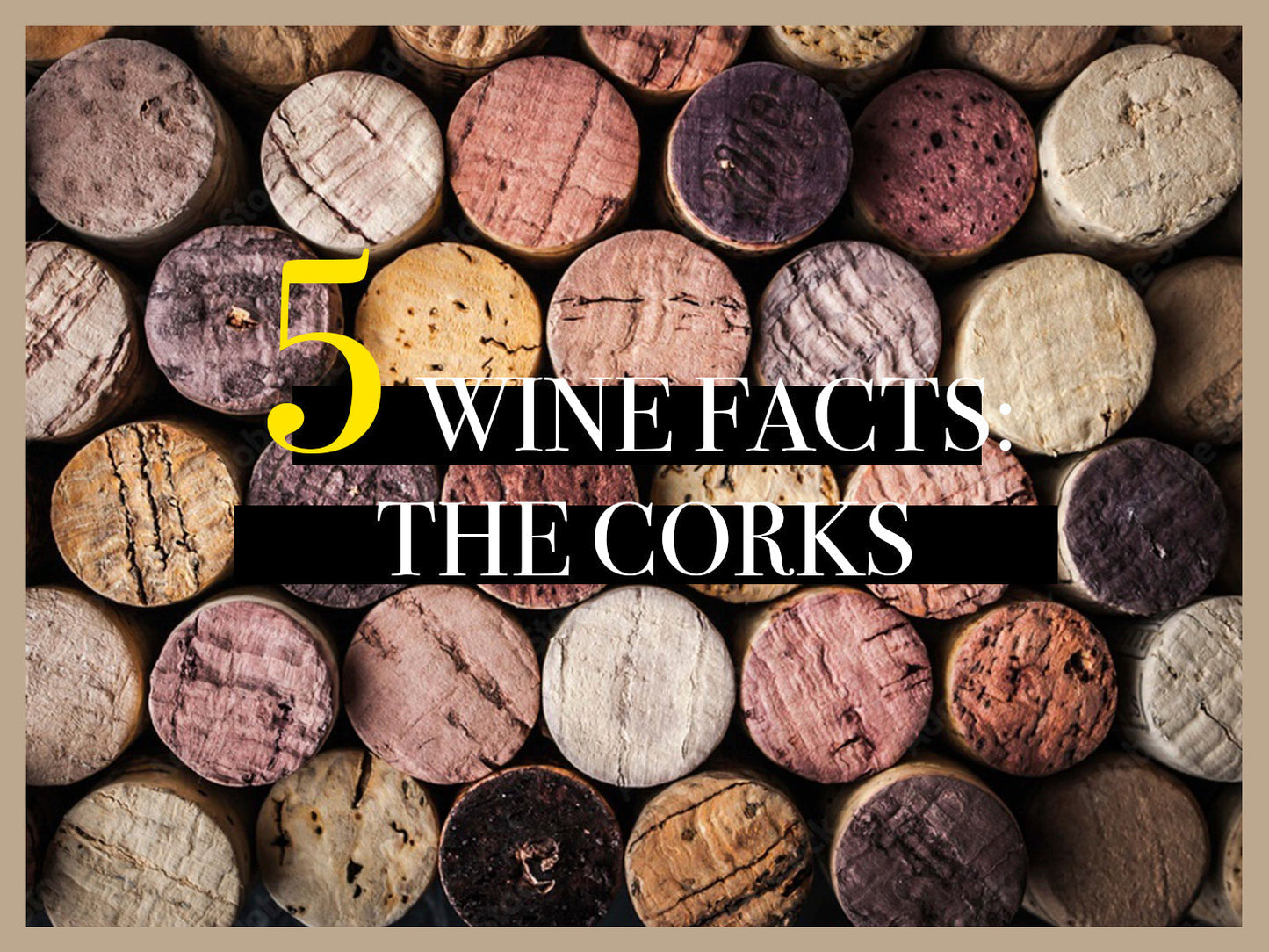 Wine facts about Corks