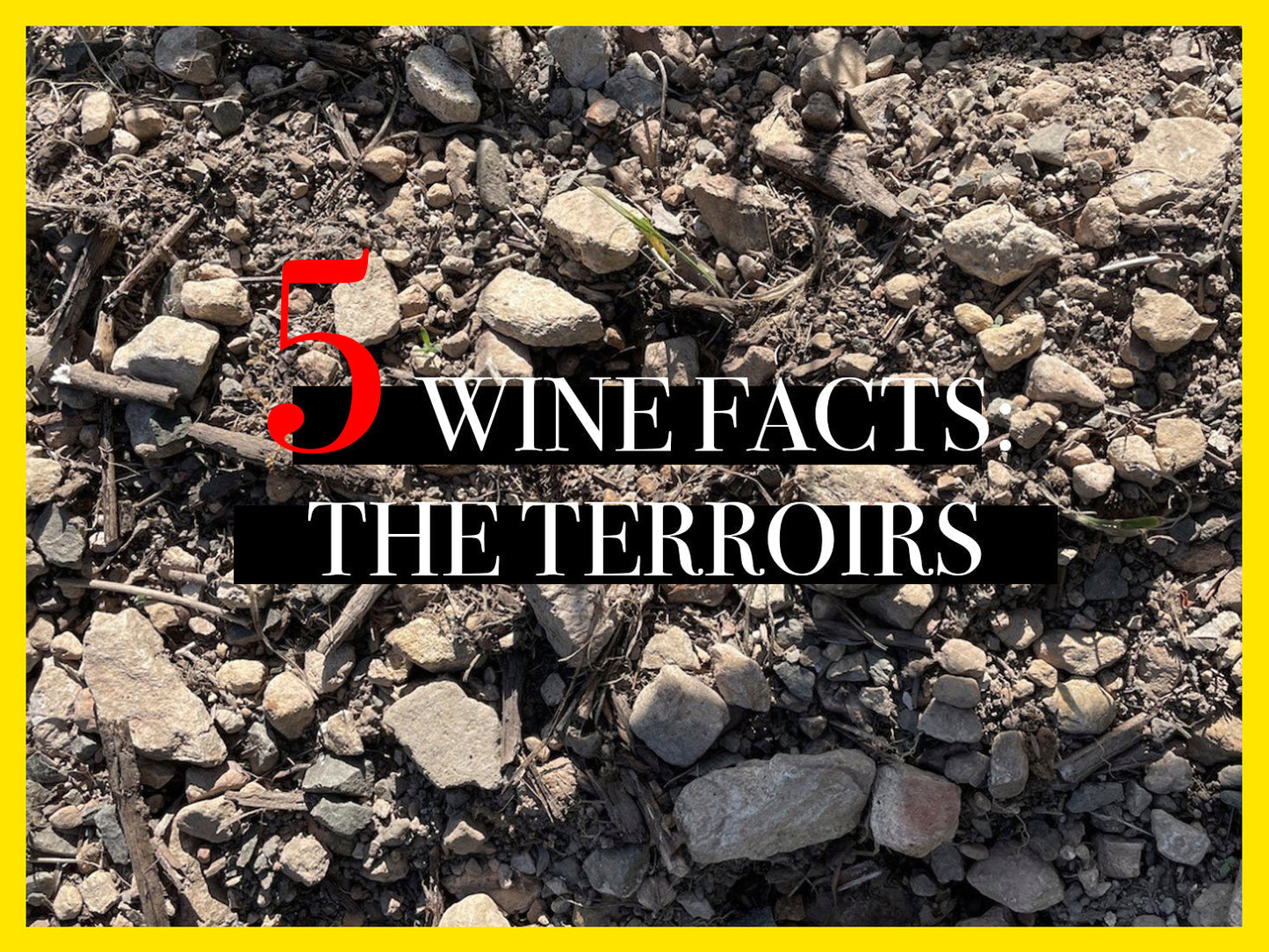 Wine facts about Terroirs