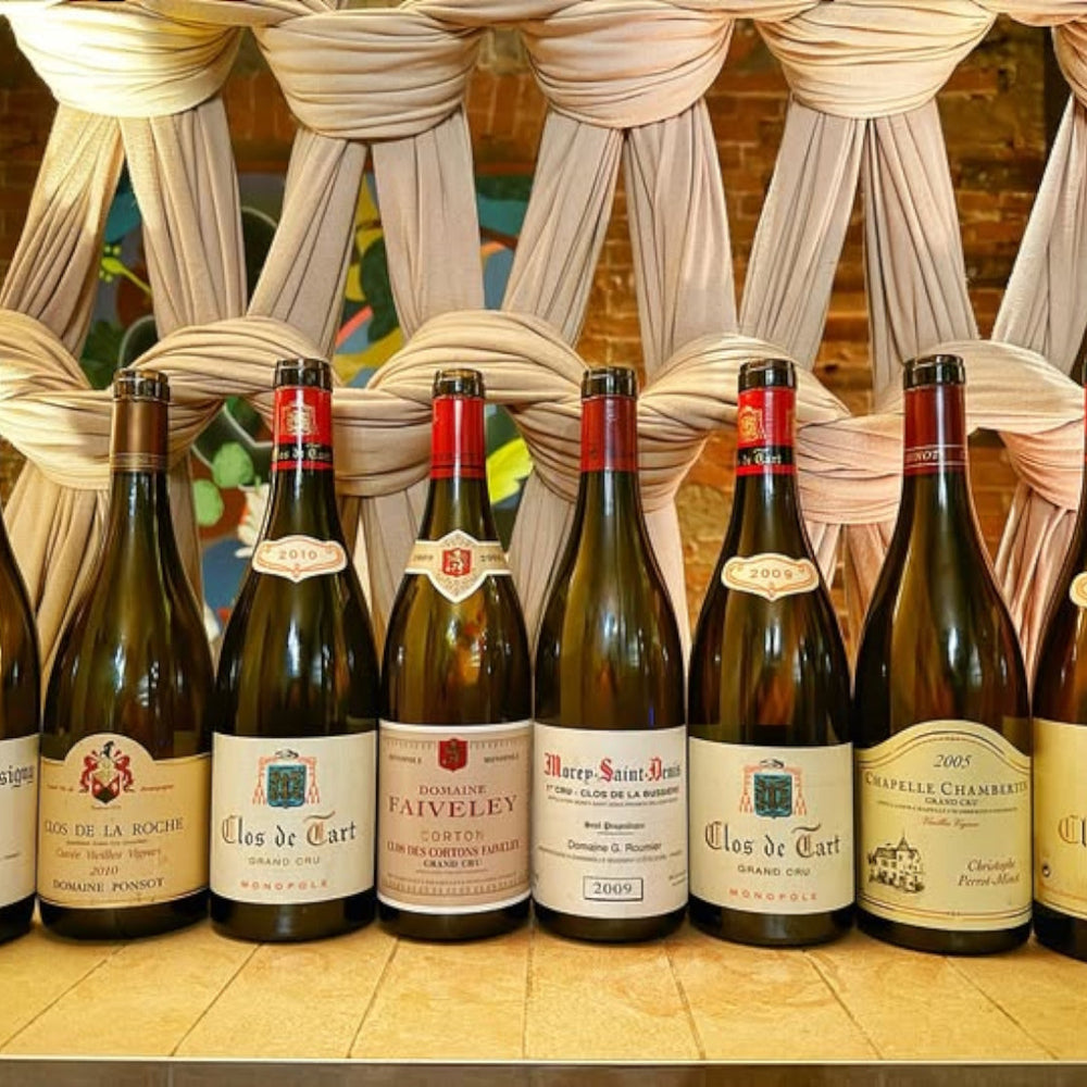 Exploring Burgundy in the context of vintages and the styles of individual winemakers