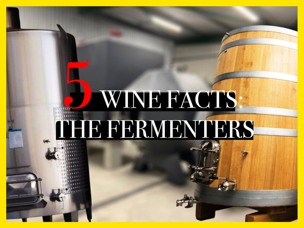 Wine fermenters