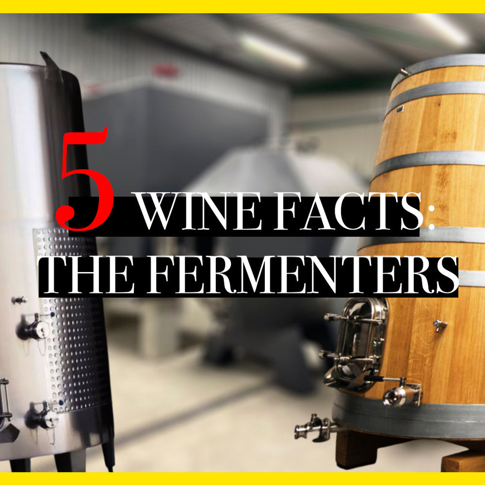 Wine fermenters
