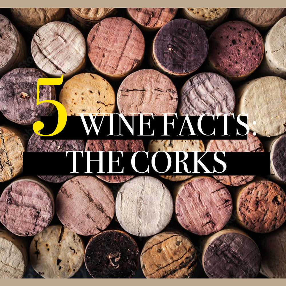 Wine facts about Corks