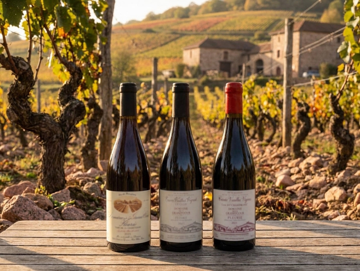 🌺 Domaine de la Grand’Cour: Jean‑Louis Dutraive and the Serious Side of Fleurie