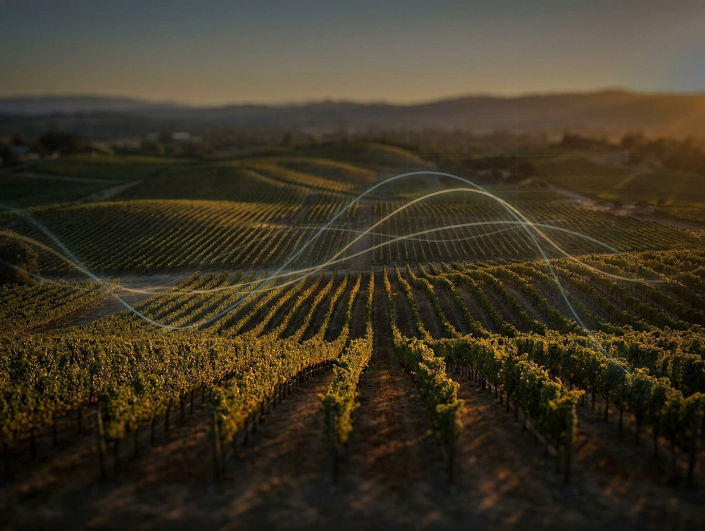 🧠 Market insight Napa’s 2026 “clearing” continues as high‑end buyers get more selective