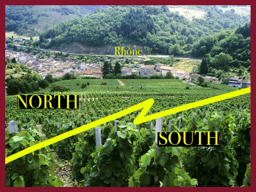 Rhone Valley Wines: North VS South