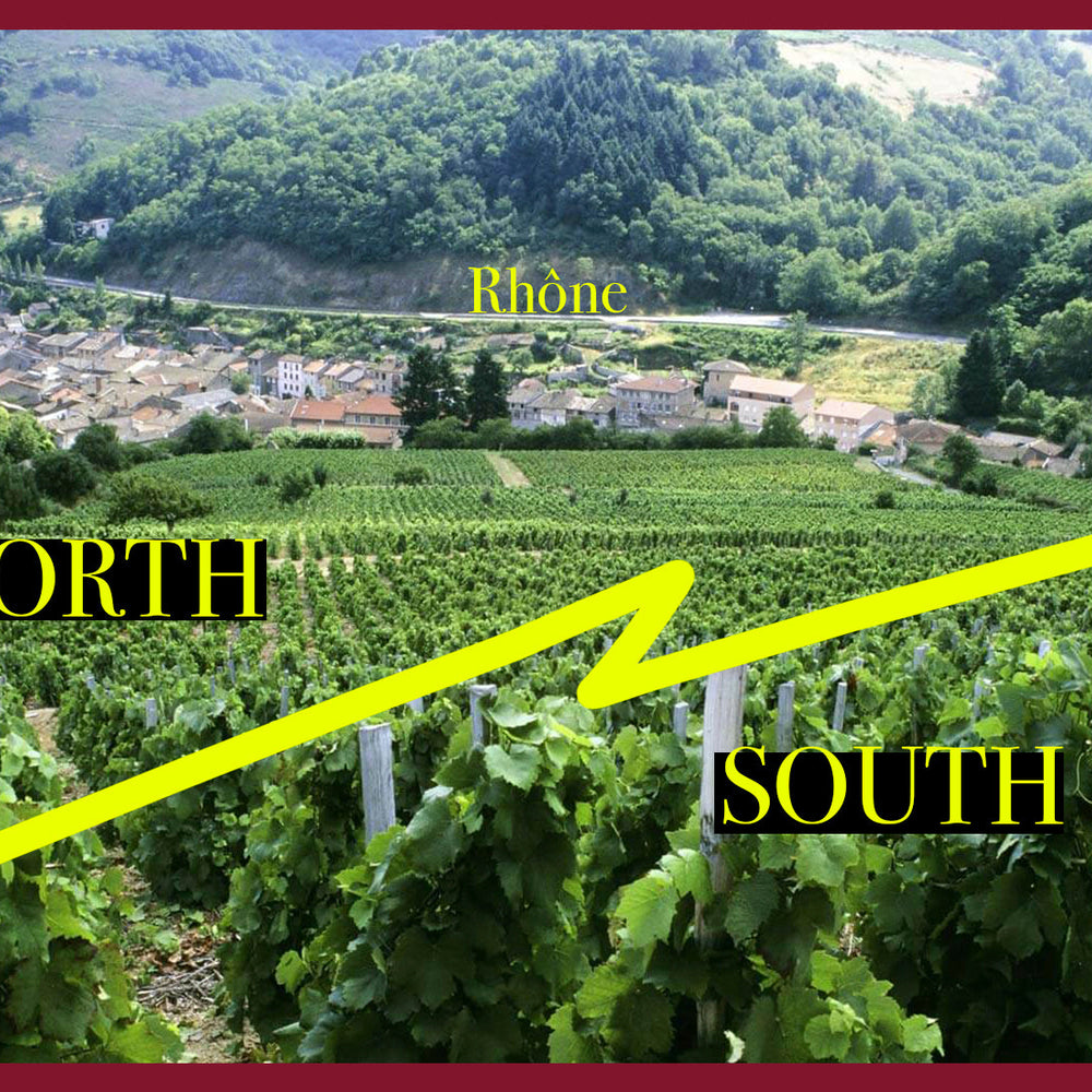 Rhone Valley Wines: North VS South