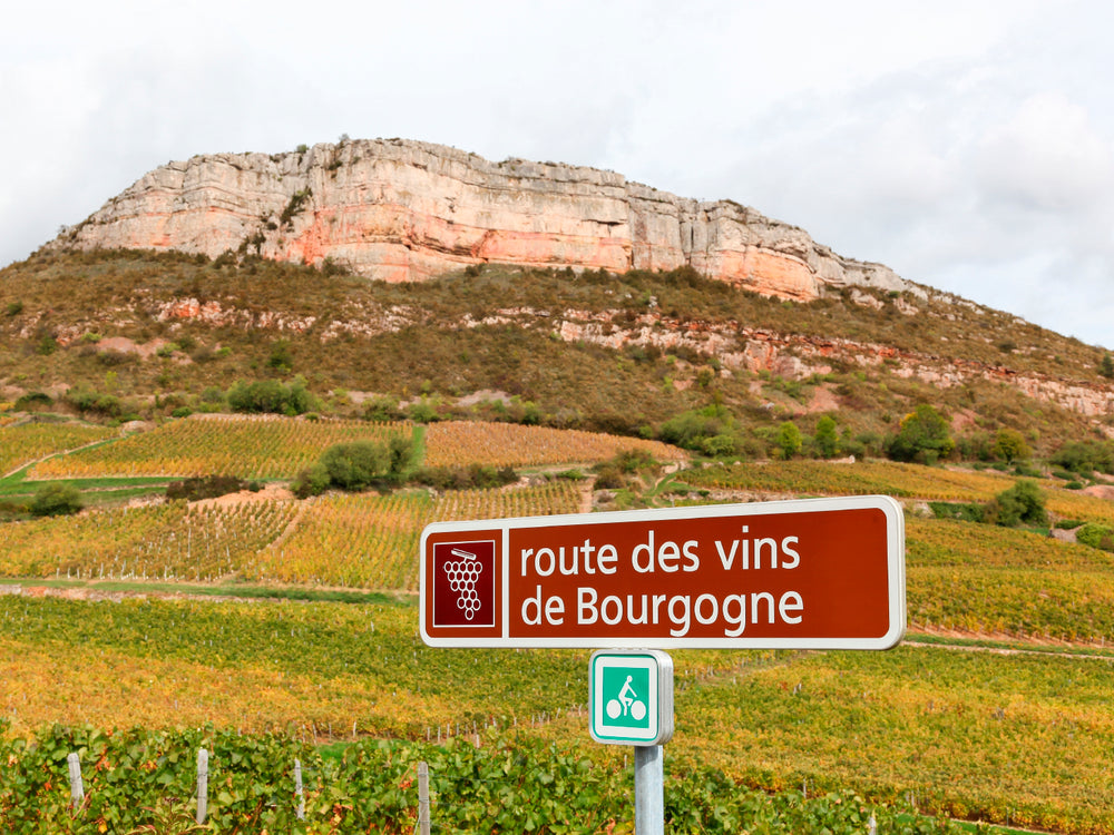 Wine route of Burgundy