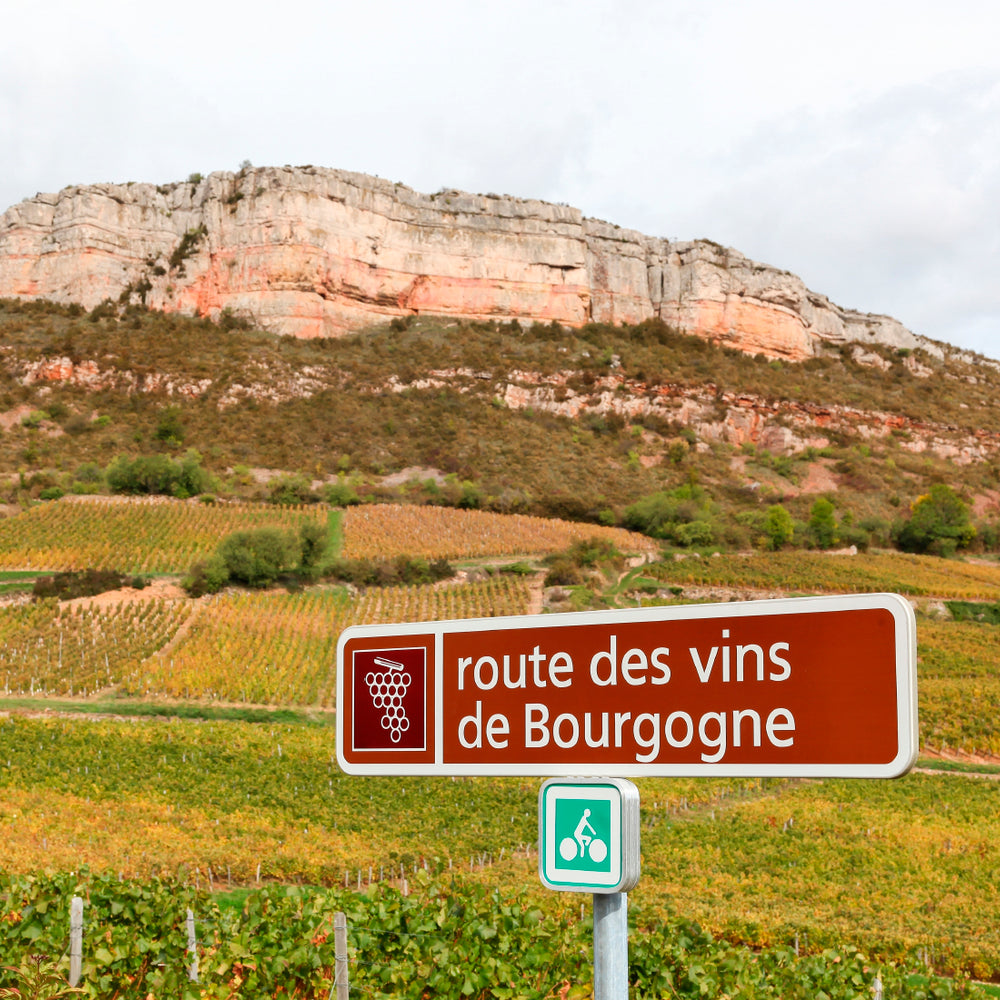 Wine route of Burgundy