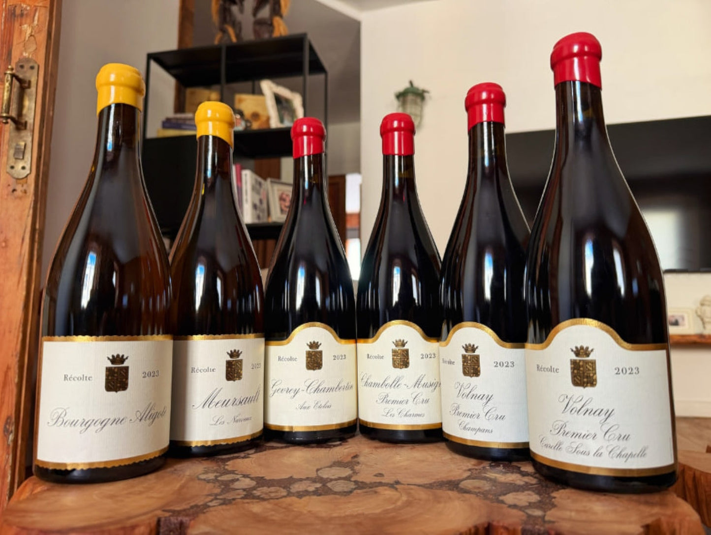 🧠 William Kelley when a critic’s experience becomes serious winemaking