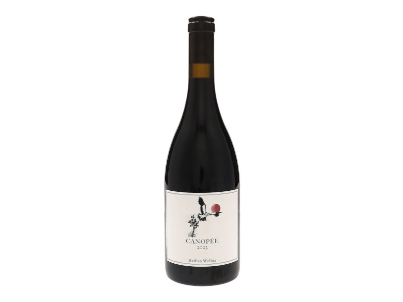 Bastian Wolber Bourgogne Canopee 2023
