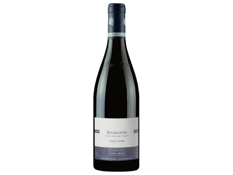 Domaine Anne Gros Bourgogne Pinot Noir 2019 by Symbolic Wines