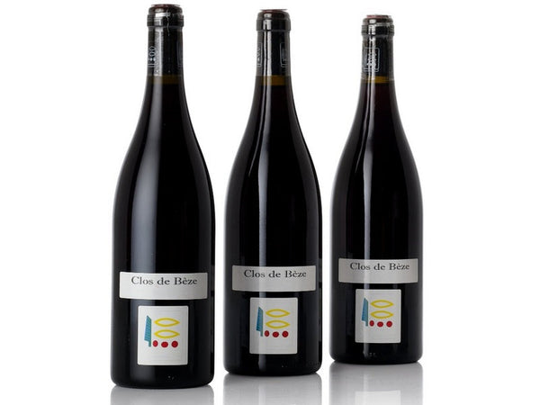 Domaine_Prieure_Roch_Chamberti